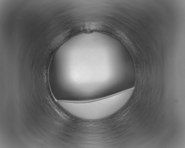 X0000055970401200508190708