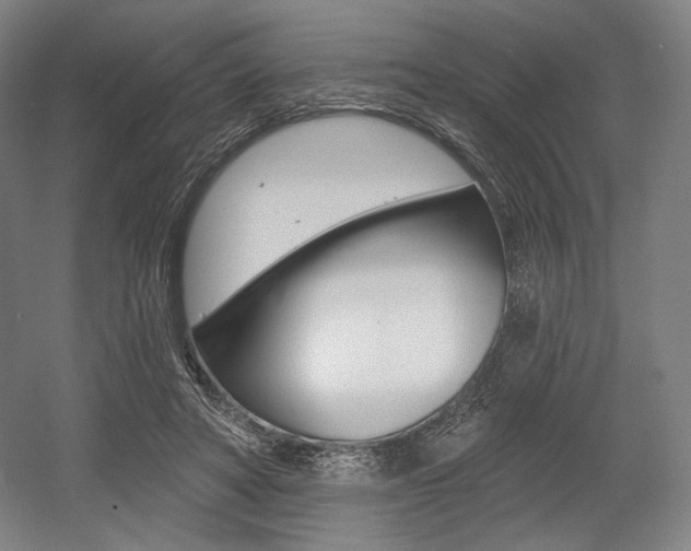 X0000055970402200508190708