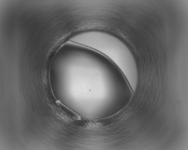 X0000055970403200508190708