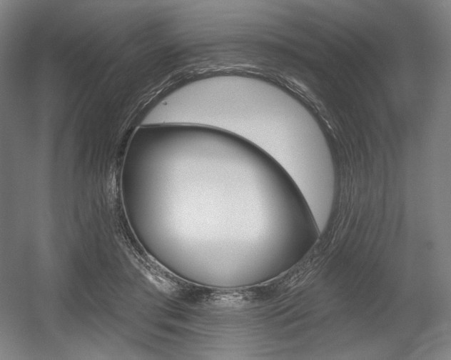 X0000055970405200508190708