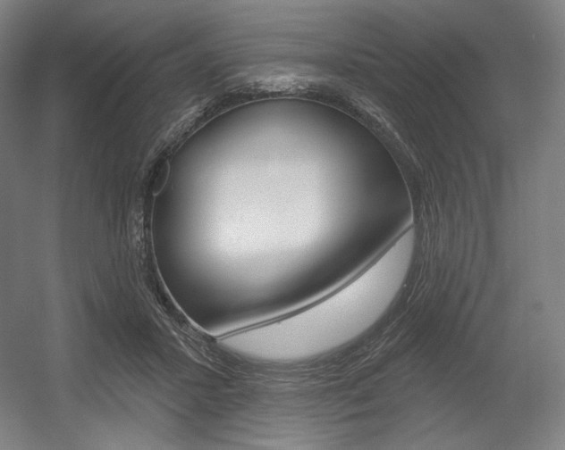 X0000055970407200508190708