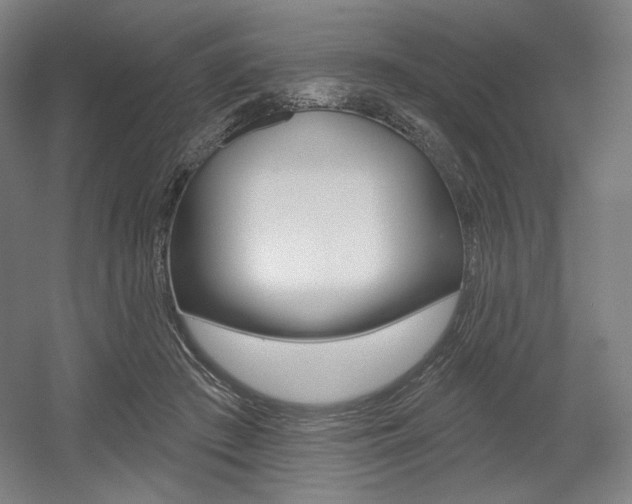 X0000055970409200508190708