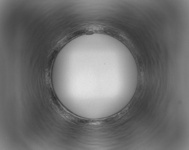 X0000055970411200508190708