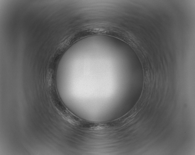 X0000055970412200508190708