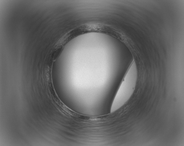 X0000055970413200508190708
