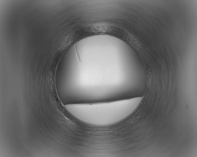 X0000055970414200508190708