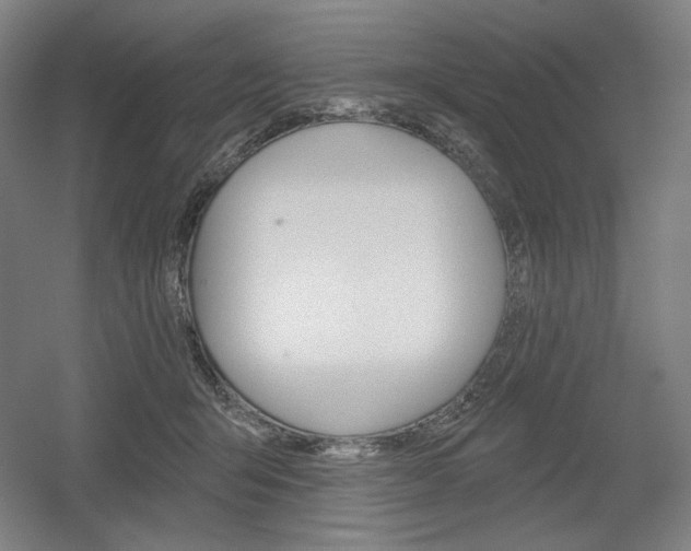 X0000055970415200508190708
