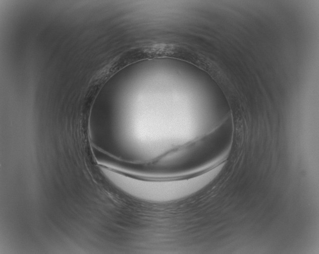 X0000055970416200508190708