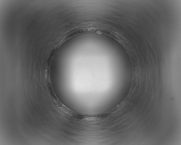 X0000055970417200508190708