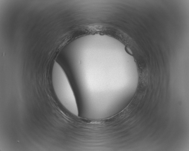 X0000055970418200508190708