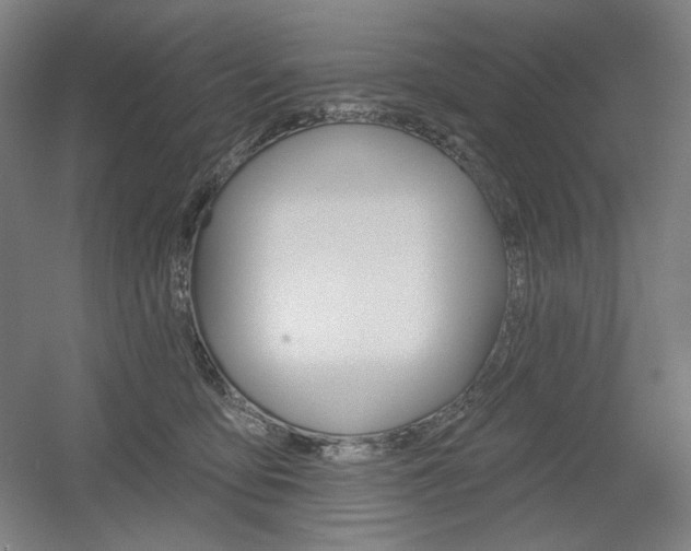 X0000055970419200508190708
