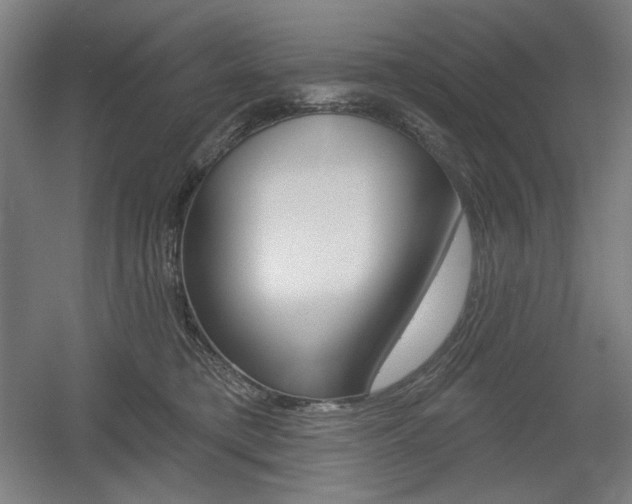 X0000055970421200508190708