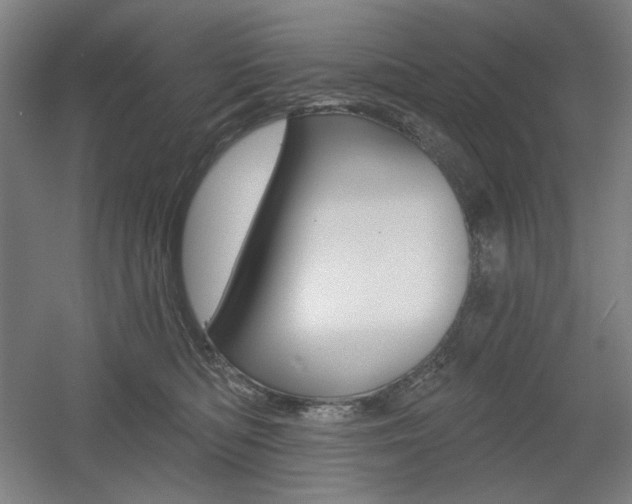 X0000055970422200508190708