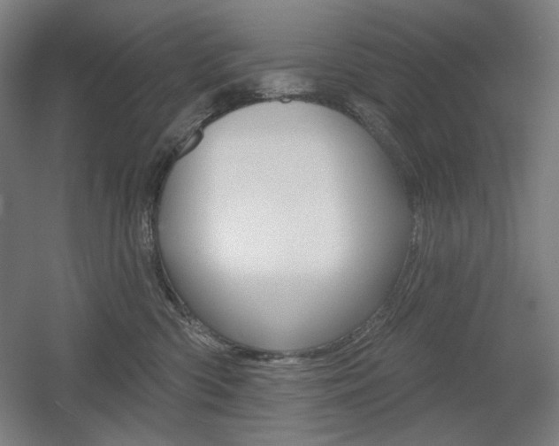 X0000055970426200508190708