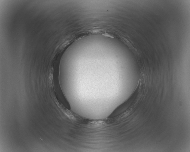 X0000055970427200508190708