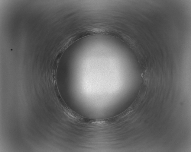 X0000055970428200508190708