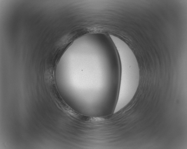 X0000055970429200508190708