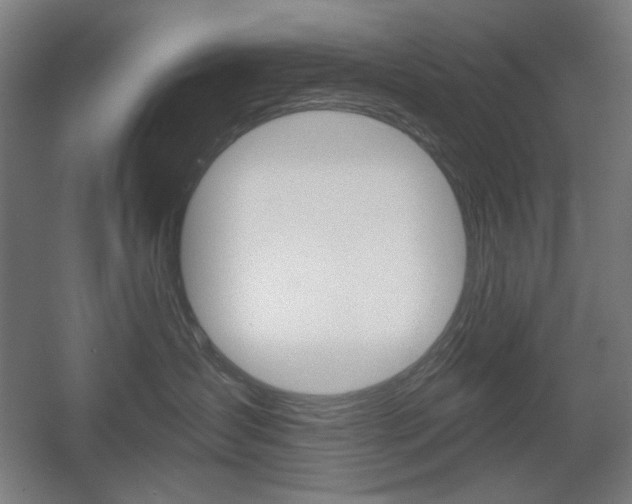 X0000055970431200508190708