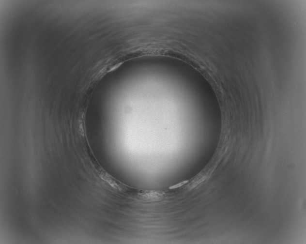 X0000055970432200508190708