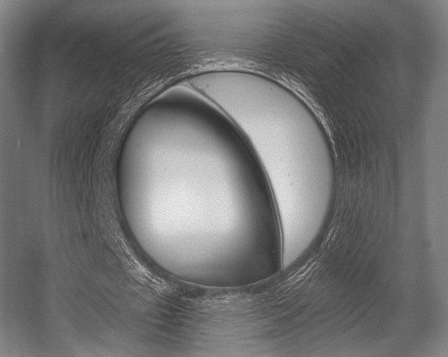 X0000055970433200508190707