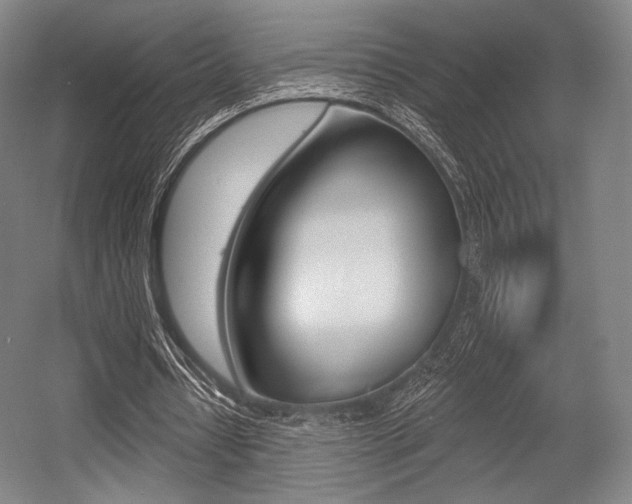 X0000055970434200508190707