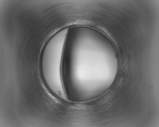 X0000055970437200508190707