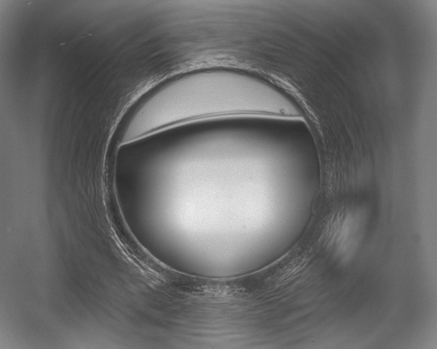 X0000055970439200508190707