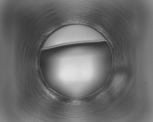 X0000055970441200508190707