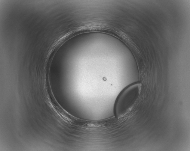 X0000055970442200508190707