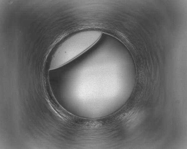 X0000055970443200508190707