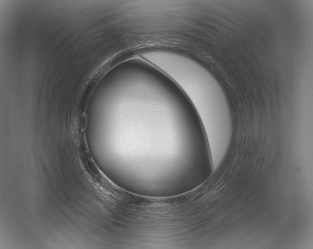 X0000055970444200508190707