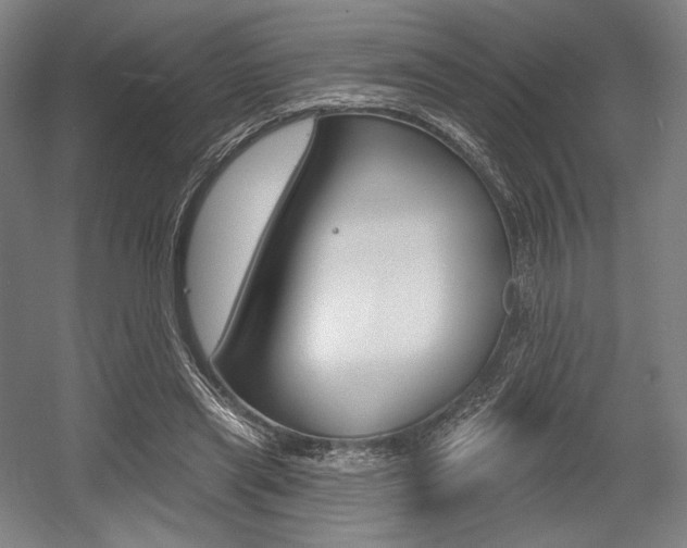 X0000055970445200508190707