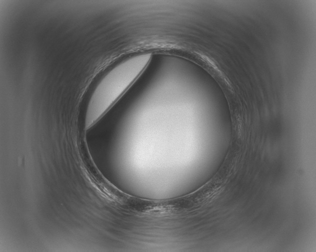 X0000055970447200508190707