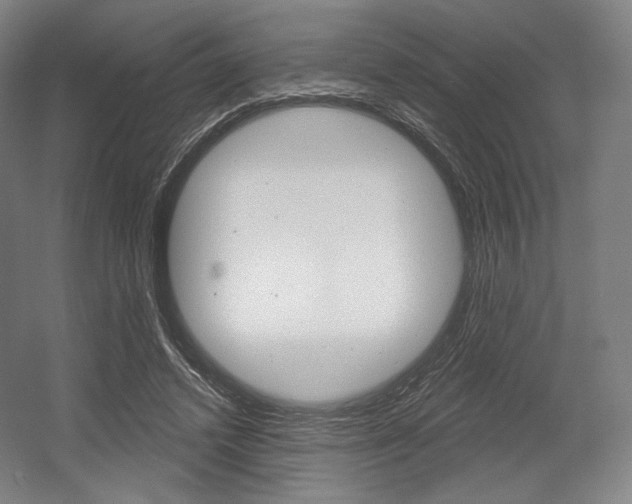 X0000055970448200508190707