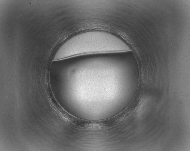 X0000055970449200508190707
