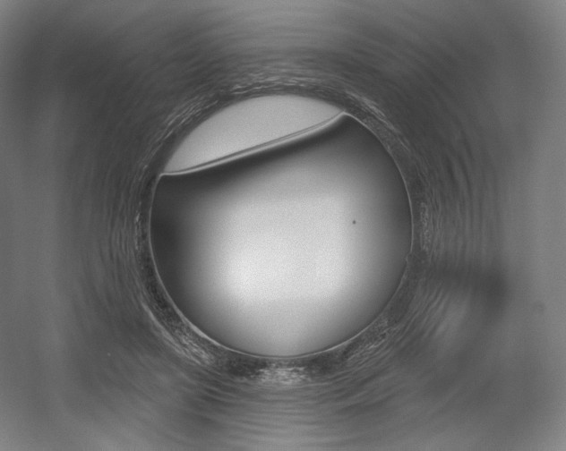 X0000055970451200508190707