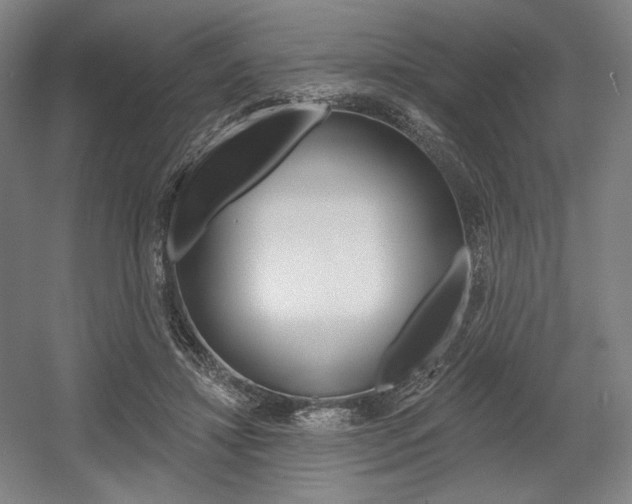 X0000055970452200508190707