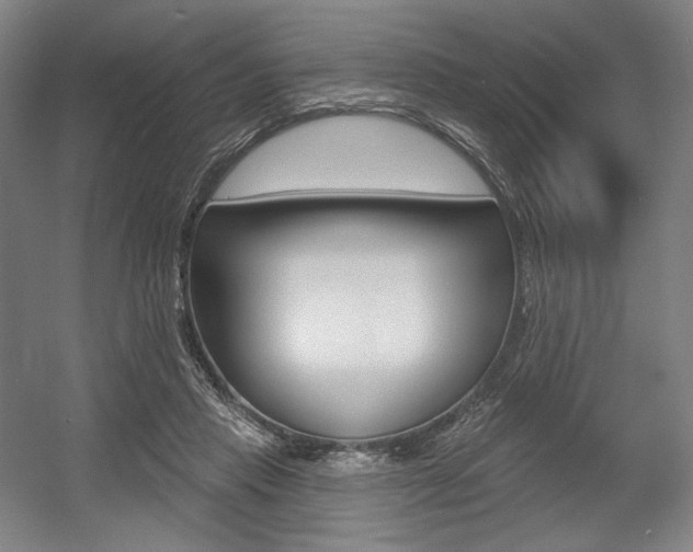 X0000055970453200508190707