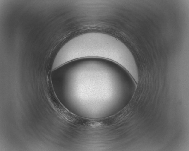 X0000055970456200508190708