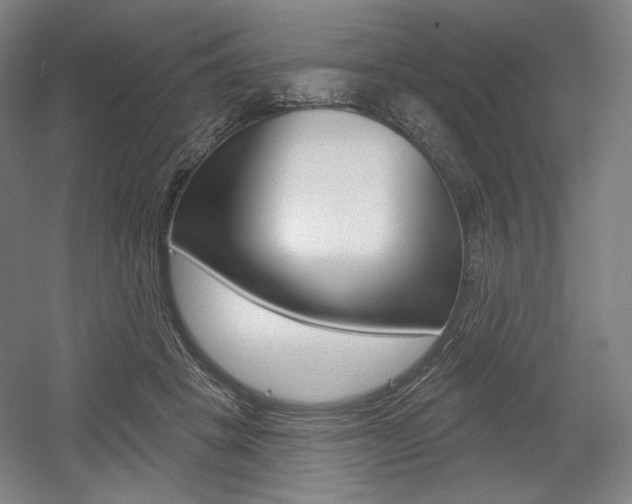 X0000055970457200508190708