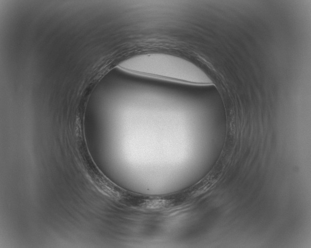 X0000055970459200508190708