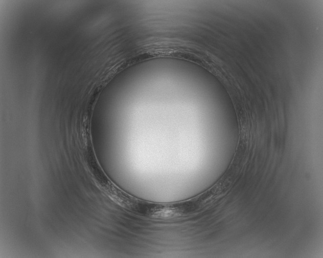 X0000055970460200508190708