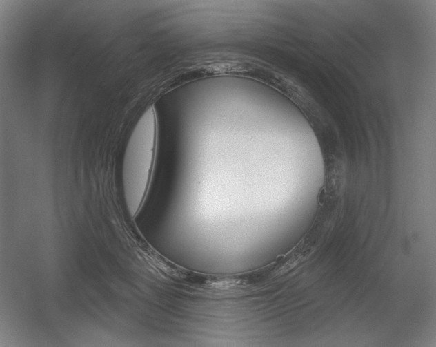 X0000055970461200508190708