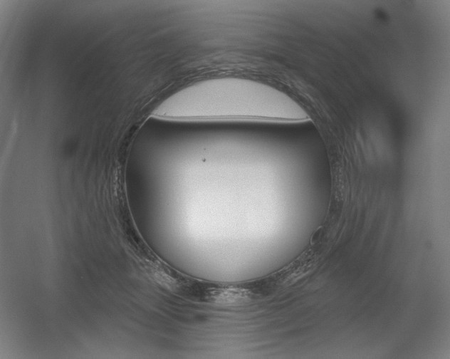X0000055970463200508190708