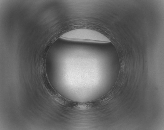 X0000055970464200508190708