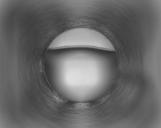 X0000055970465200508190708
