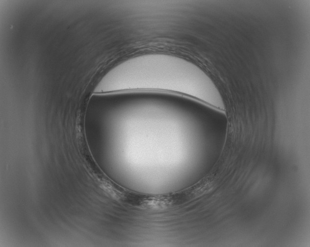 X0000055970466200508190708