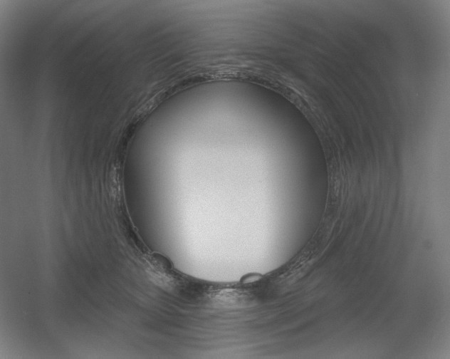 X0000055970467200508190708