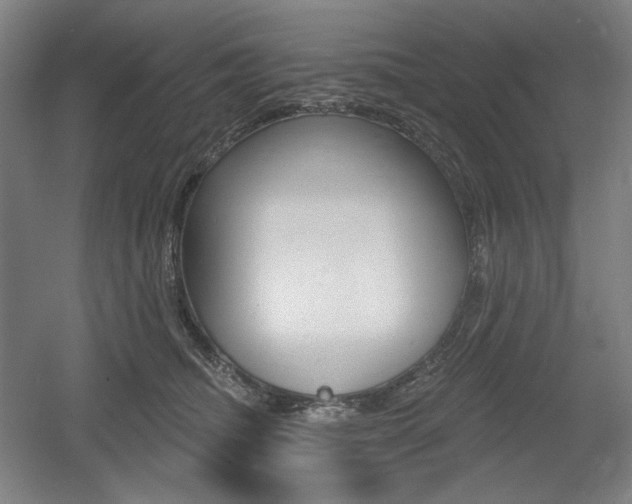 X0000055970468200508190708