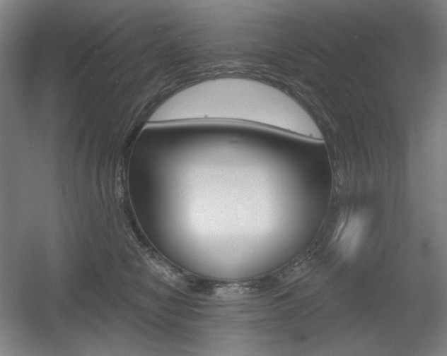 X0000055970470200508190708